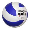 Volejbalový míč Gala Easy 5083S