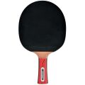 DONIC Waldner 1000