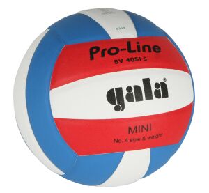 Volejbalový míč Gala PRO LINE 4051 S