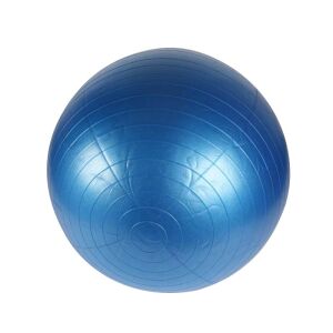 Gymball HAWK Anti-Bust 65 cm