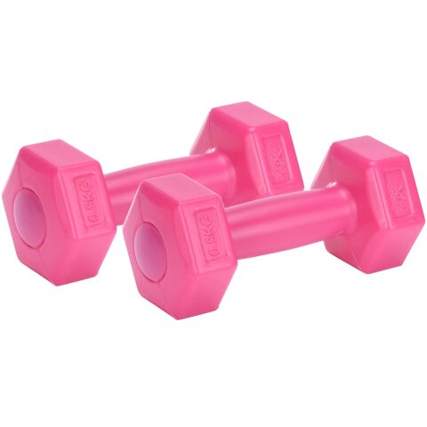 Činka AEROBIC 2 x 0,5 kg