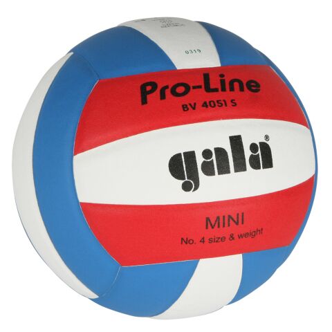 Volejbalový míč Gala PRO LINE 4051 S