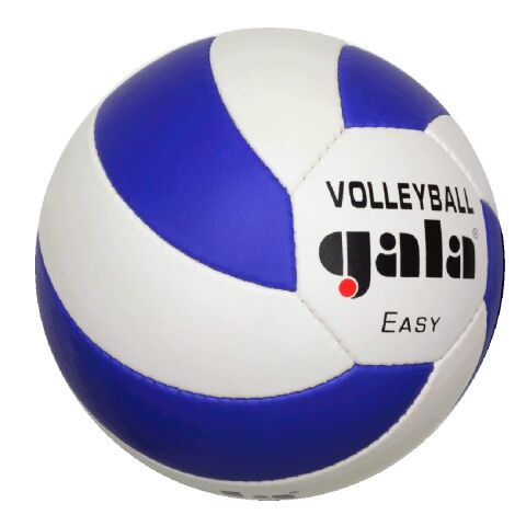 Volejbalový míč Gala Easy 5083S